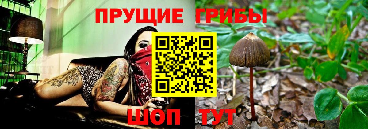 Элиста  Галлюциногенные грибы ЛСД  Вход с VPN 